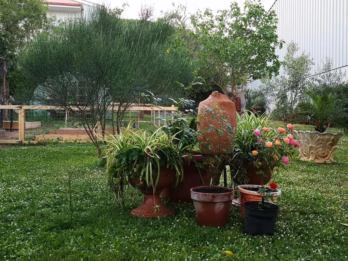 Bed and Breakfast Zia Chiarina San Nicolo Gerrei 0*,