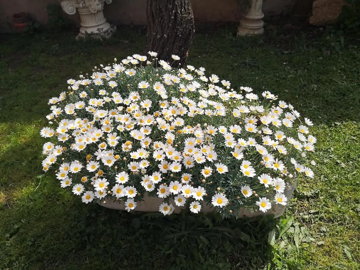 Bed and Breakfast Zia Chiarina San Nicolo Gerrei 0*,  Italien