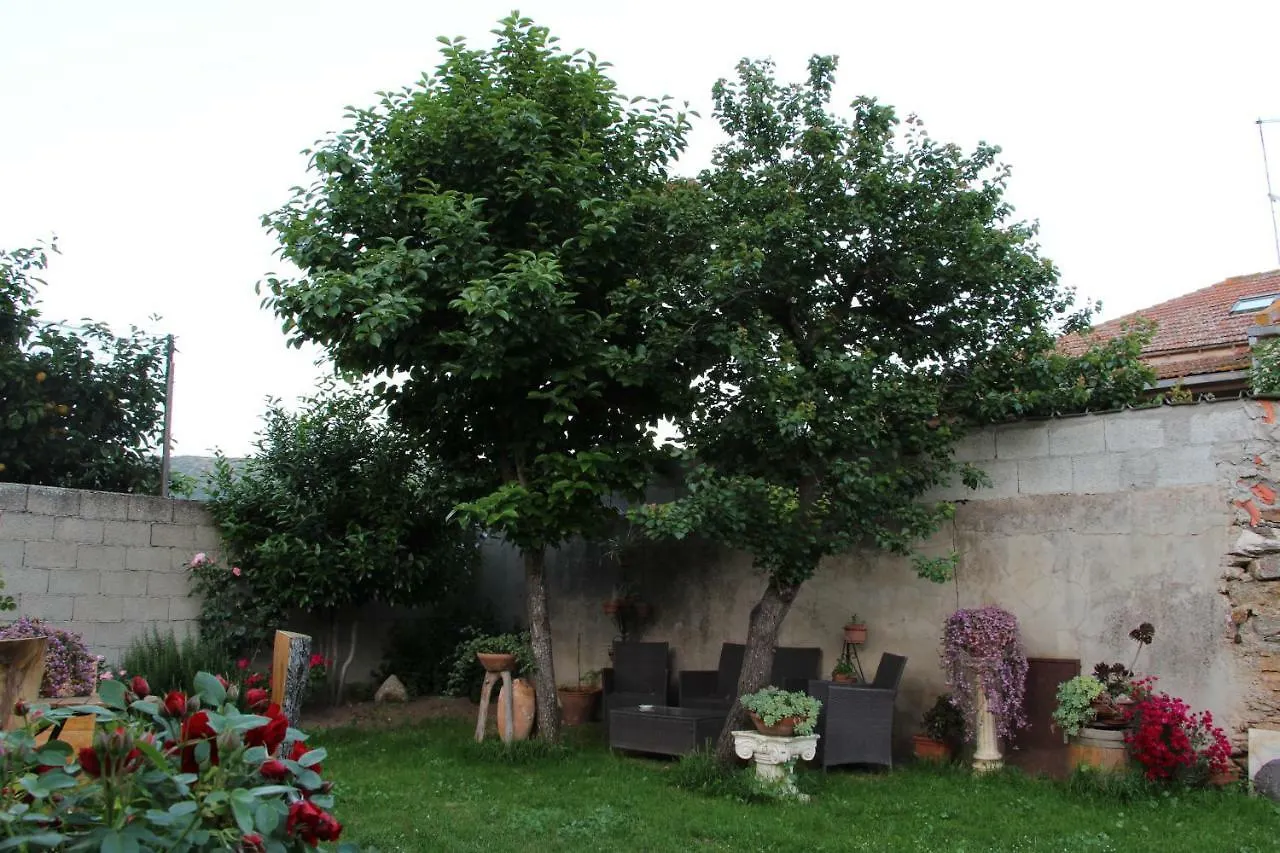 Bed and Breakfast Zia Chiarina à San Nicolo Gerrei
